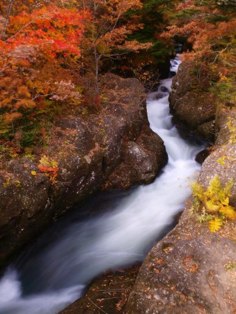 日光盛秋の沢
